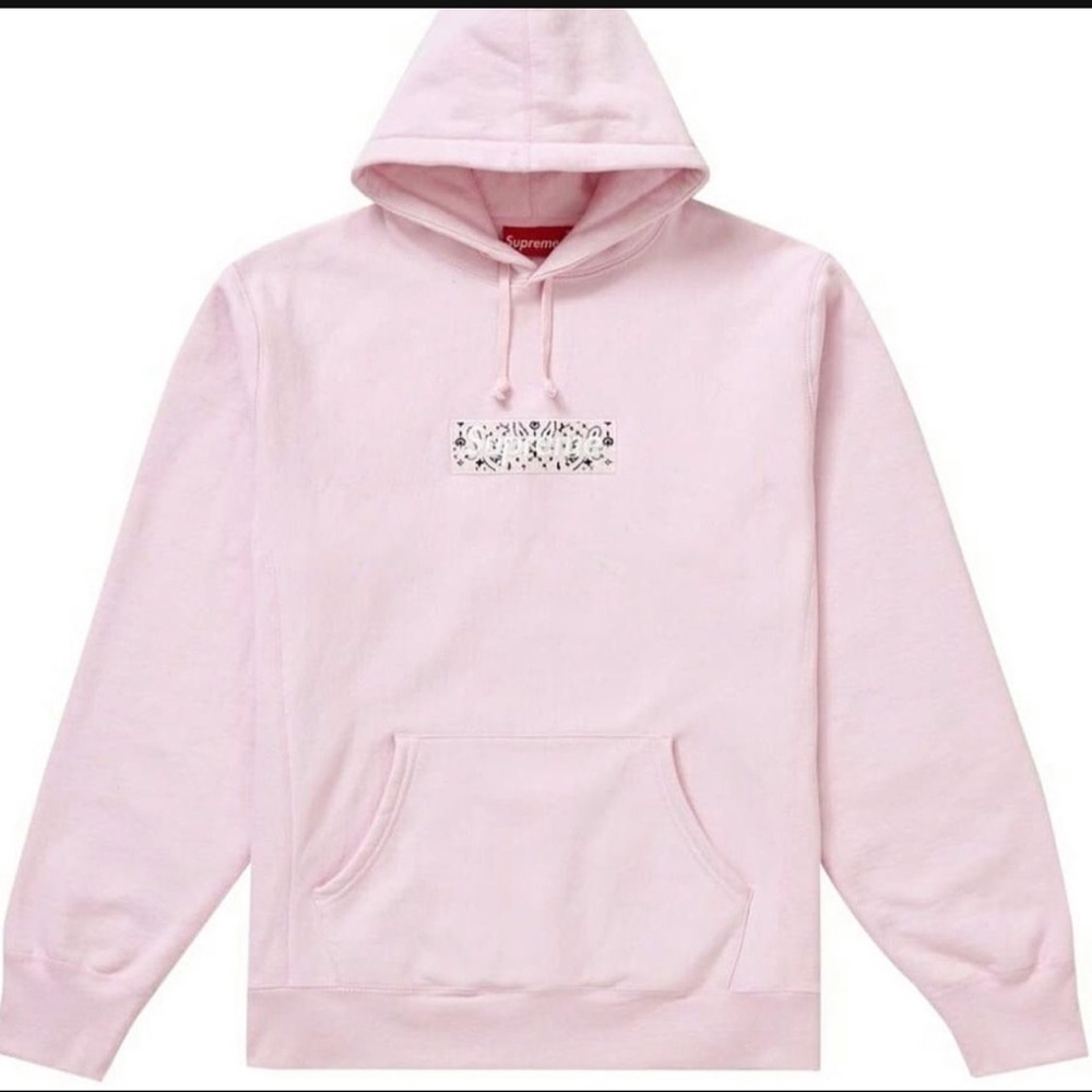 Supreme bandana box logo hoodie pre owned